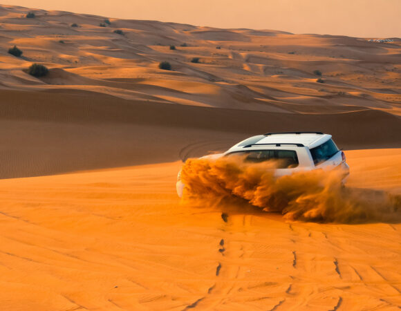 Desert Safari (Dubai)
